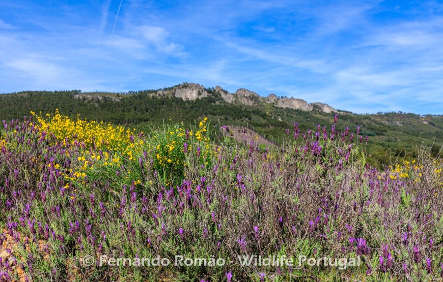 Nature tour in Geopark Naturtejo