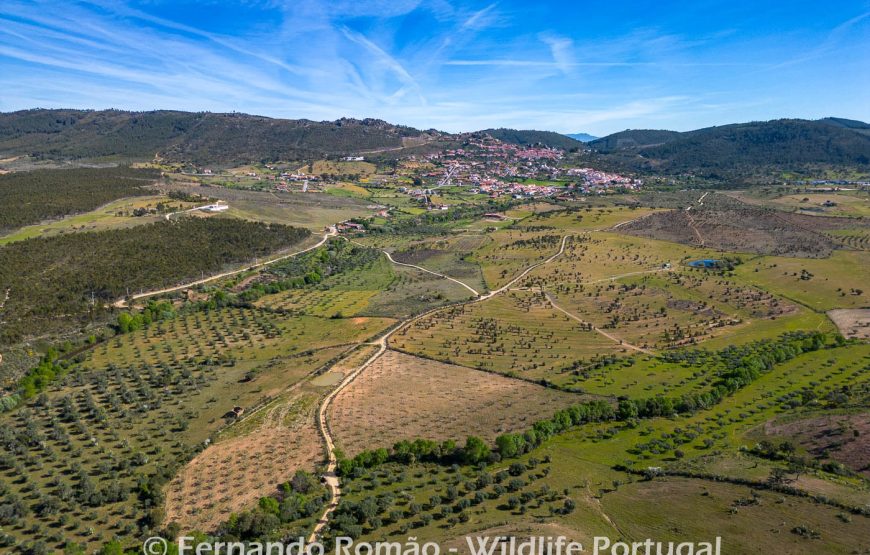 Nature tour in Geopark Naturtejo