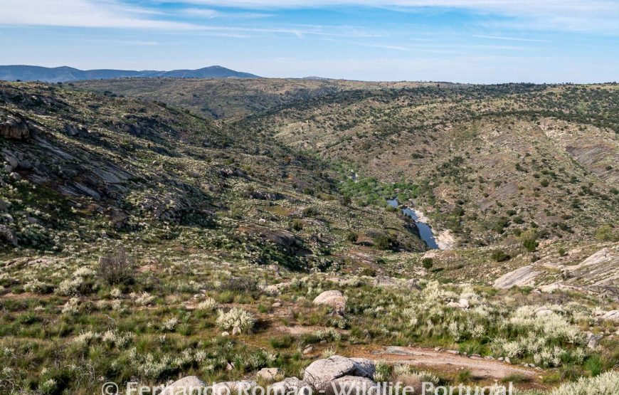 Visita à área rewilding do Ermo das Águias