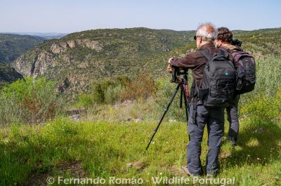 Foto Tour Douro Internacional
