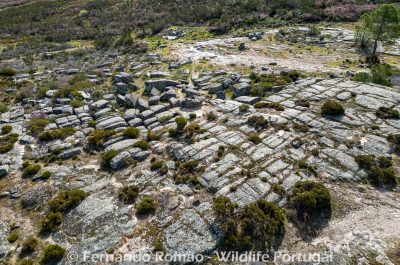 Granitic formation - Cradle of the Côa
