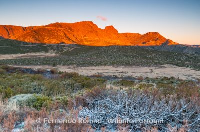 Estrela Mountain Natural Park