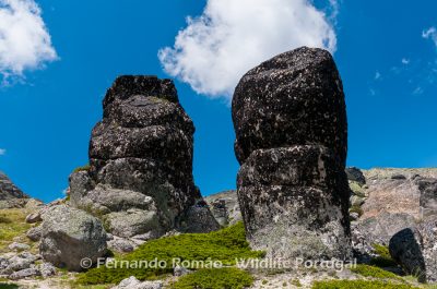 Estrela Mountain Natural Park