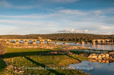 Ponte da Ajuda - Elvas