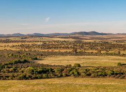 Alto Alentejo