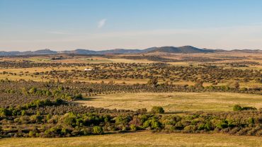 Alto Alentejo