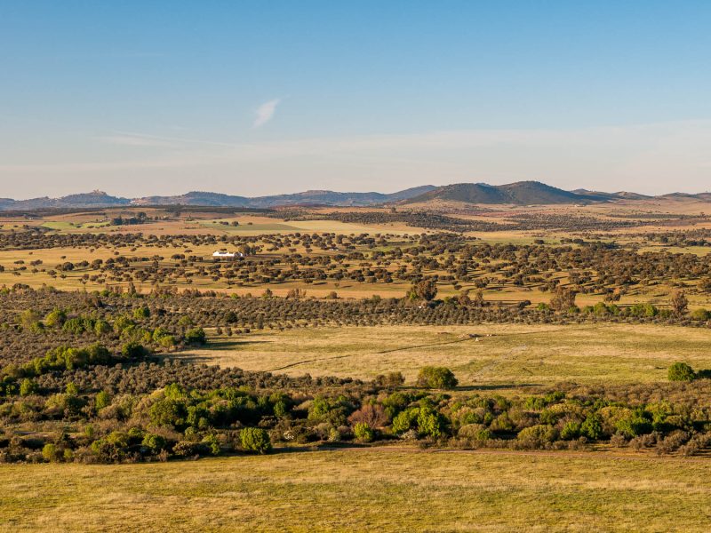 Alto Alentejo