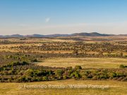 Campo Maior