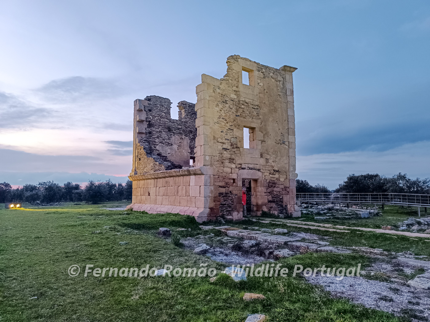 Torre das Águias - Parque Natural do Douro Internacional