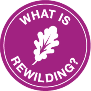 What_is_rewilding_ Rewilding Course Module 1 badge