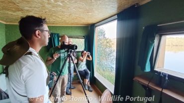 Strengthening the connection with the Greater Côa Valley through continuous training