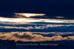 Entardecer