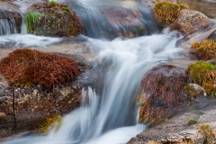Ribeira de Arnal