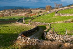 Paisagem rural em Barreiro