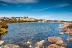 Natural pond