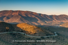 Douro Internacional Nature Park