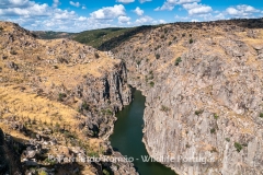 Douro Internacional Nature Park