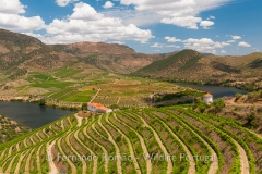 Upper Douro vineyards