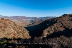 Douro Internacional Nature Park