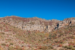 Douro Internacional Nature Park