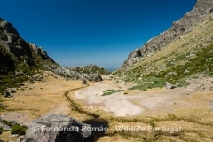 Loriga valley