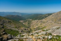 Loriga valley