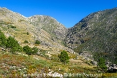 Loriga valley