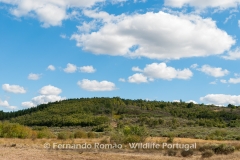Malcata Natural Reserve