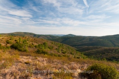 Malcata Natural Reserve