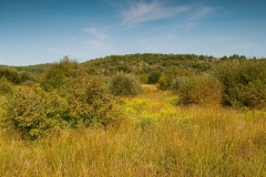 Malcata Natural Reserve