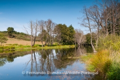 Côa River - Malcata Natural Reserve