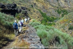 Mosteiro Stream Hiking