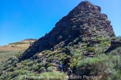 Mosteiro Stream Hiking