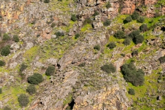 Mosteiro Stream Valley