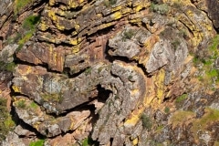 Geoshapes at Mosteiro Stream valley