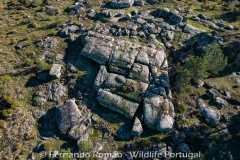 Geoformas da Serra das Mesas
