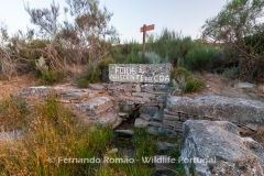 Nascente do Côa e Serra de Mesas