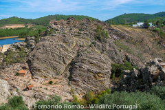 Ichnological Park of Penha Garcia
