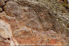 Ichnological Park of Penha Garcia