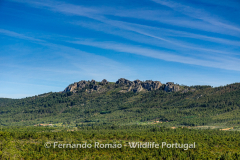 Ramilo Mountain Ridge
