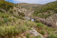 Côa River - Ermo das Águias rewilding area