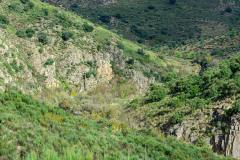Côa Valley - Ermo das Águias rewilding area