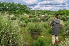 Ermo das Águias rewilding area