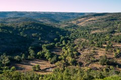 Vale Carapito rewilding area