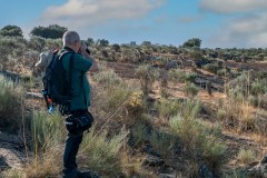 Photo tour in Vale Carapito rewilding area