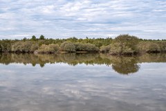 Paul de Toiroes rewilding area