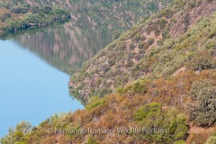 Tejo Internacional Natural Park