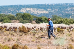 Shepherd at Tejo Internacional Natural Park