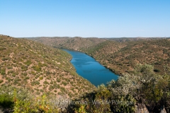 Tejo Internacional Natural Park