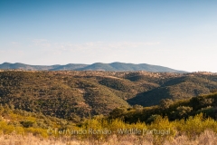 Tejo Internacional Natural Park